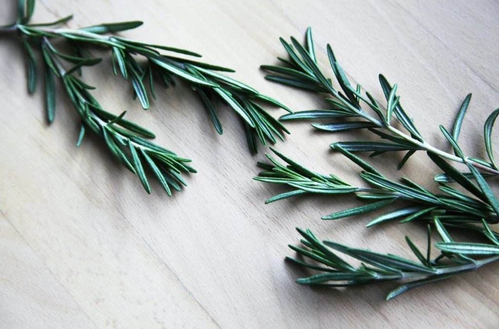 5 REMARKABLE BENEFITS OF ROSEMARY - Addiction Pet Australia