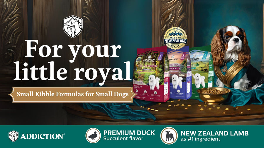 A New Crown for Your Little Royal: Introducing the Small Dog Breed Formula - Addiction Pet Australia