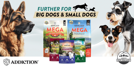 Big Dogs vs. Small Dogs: The Surprising Truth About Their Unique Needs - Addiction Pet Australia