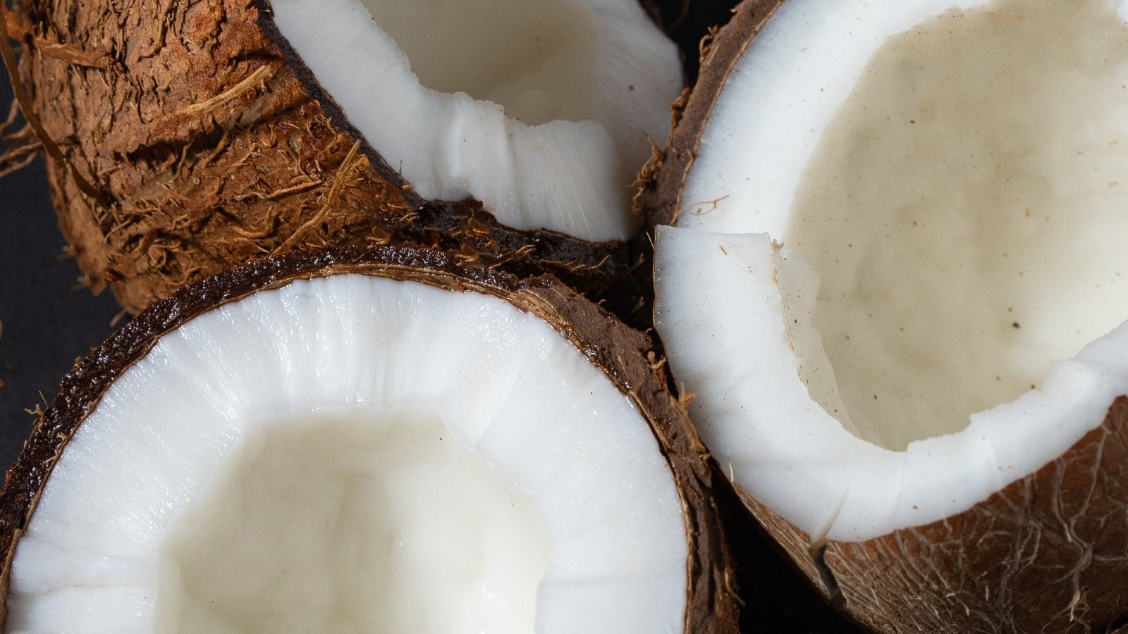 Should you include Coconut oil in your pet's diet? - Addiction Pet Australia
