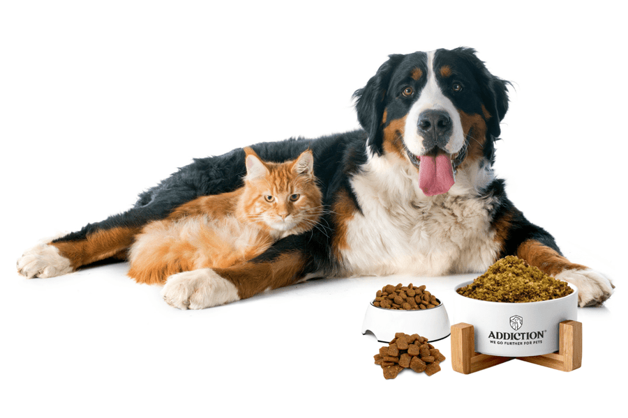 The Benefits of Air-Dried Pet Food - Addiction Pet Australia