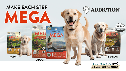 The MEGA Difference: A Guide to Addiction’s Large-Breed Dog Food - Addiction Pet Australia