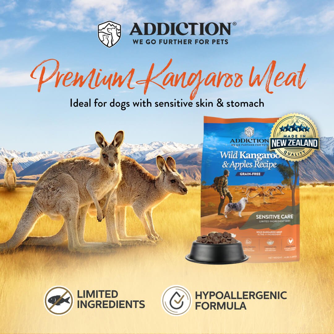 Wildly Different, Naturally Better: Why Your Dog Deserves Addiction’s Wild Kangaroo & Apples Recipe - Addiction Pet Australia