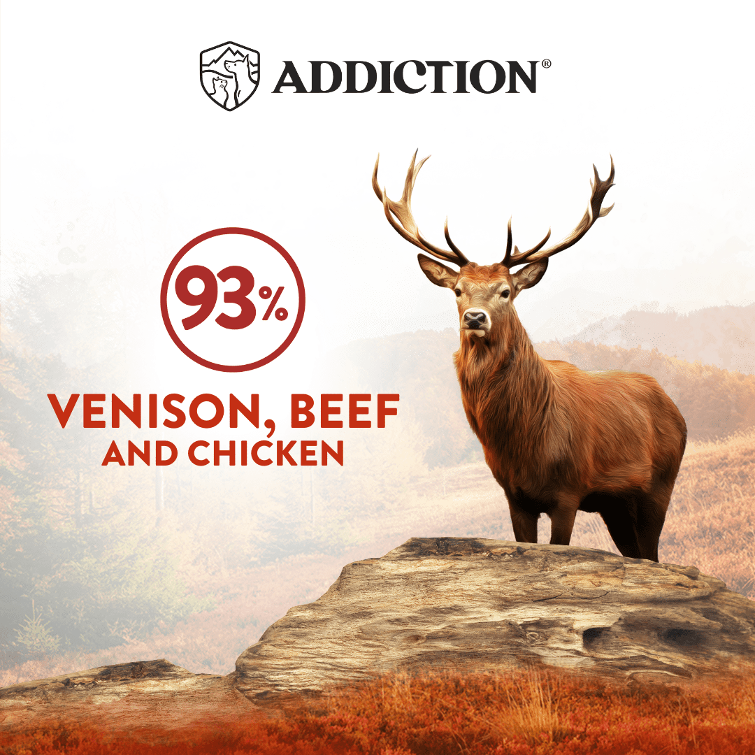 Addiction Wild Islands Forest Meat Venison & Beef High-Meat, Organ Meat Canned Cat Food 24 x 185g - Wet Cat Food - Addiction Pet Australia