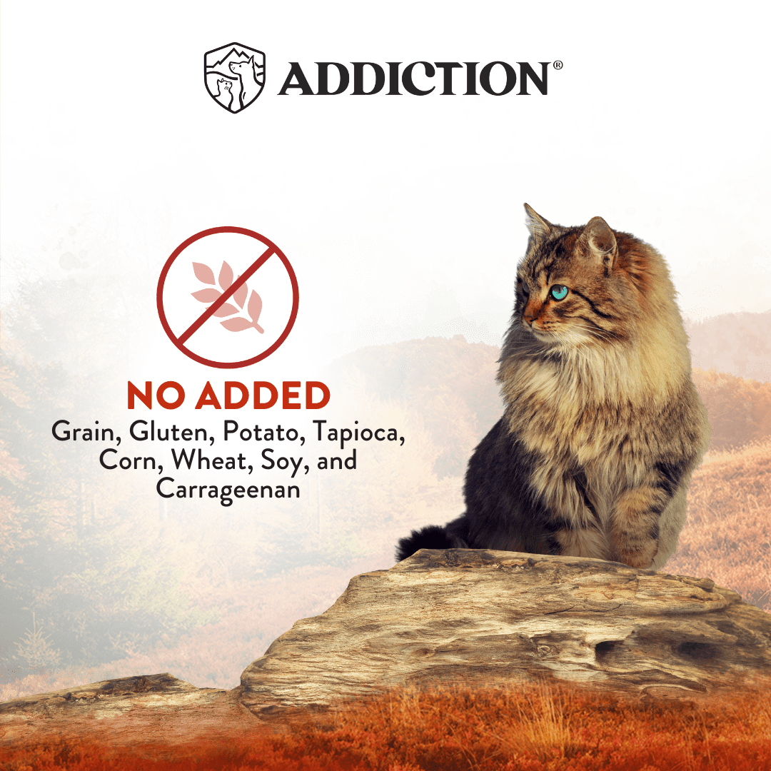Addiction Wild Islands Forest Meat Venison & Beef High-Meat, Organ Meat Canned Cat Food 24 x 185g - Wet Cat Food - Addiction Pet Australia