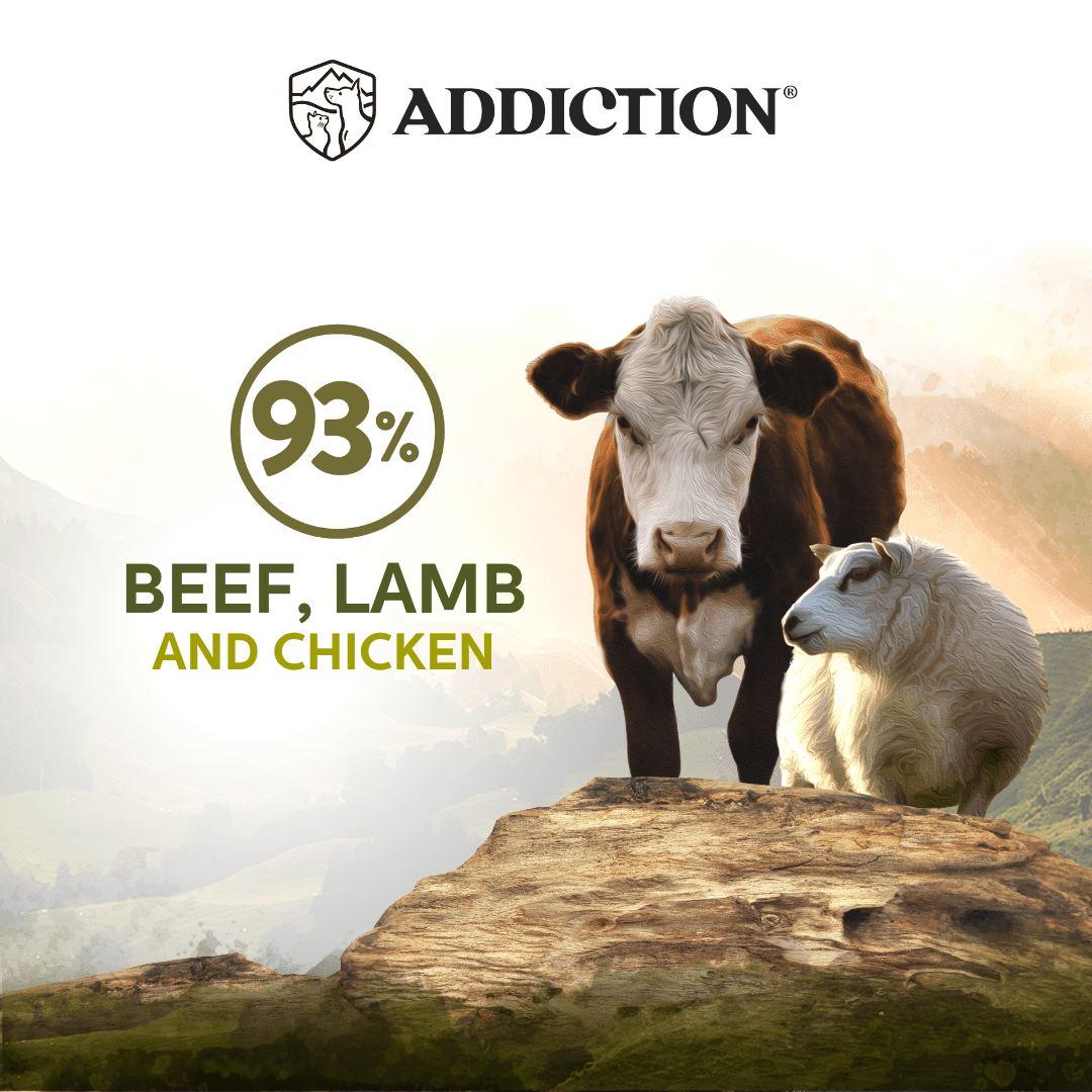 Addiction Wild Islands Highland Meats Lamb & Beef High-Meat, Organ Meat Canned Cat Food 24 x 185g - Wet Cat Food - Addiction Pet Australia