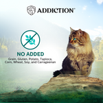 Addiction Wild Islands Island Birds Chicken & Turkey High-Meat, Organ Meat Canned Cat Food 24 x 185g - Wet Cat Food - Addiction Pet Australia