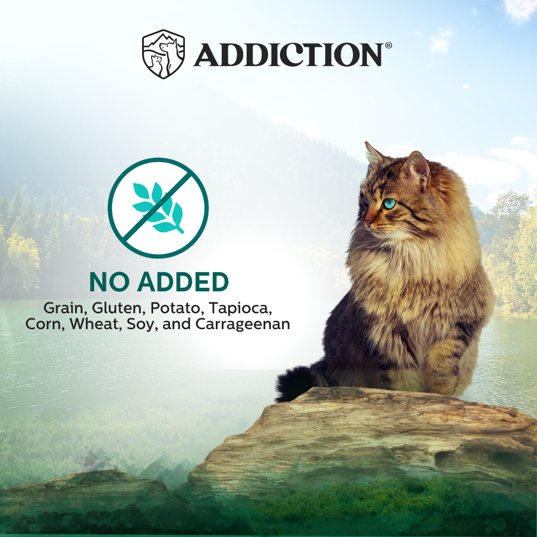 Addiction Wild Islands Island Birds Chicken & Turkey High-Meat, Organ Meat Canned Cat Food 24 x 185g - Wet Cat Food - Addiction Pet Australia