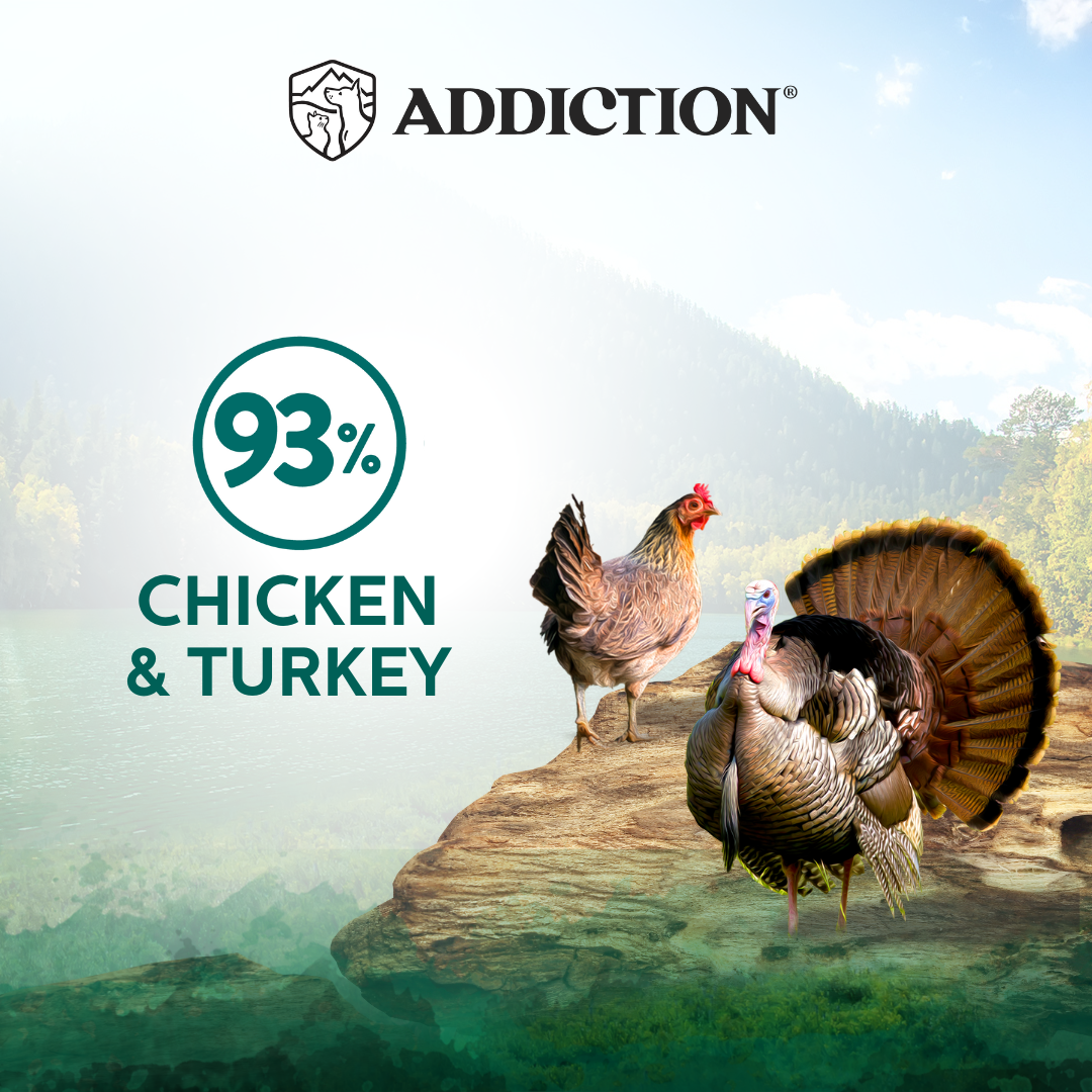 Addiction Wild Islands Island Birds Chicken & Turkey High-Meat, Organ Meat Canned Cat Food 24 x 185g - Wet Cat Food - Addiction Pet Australia