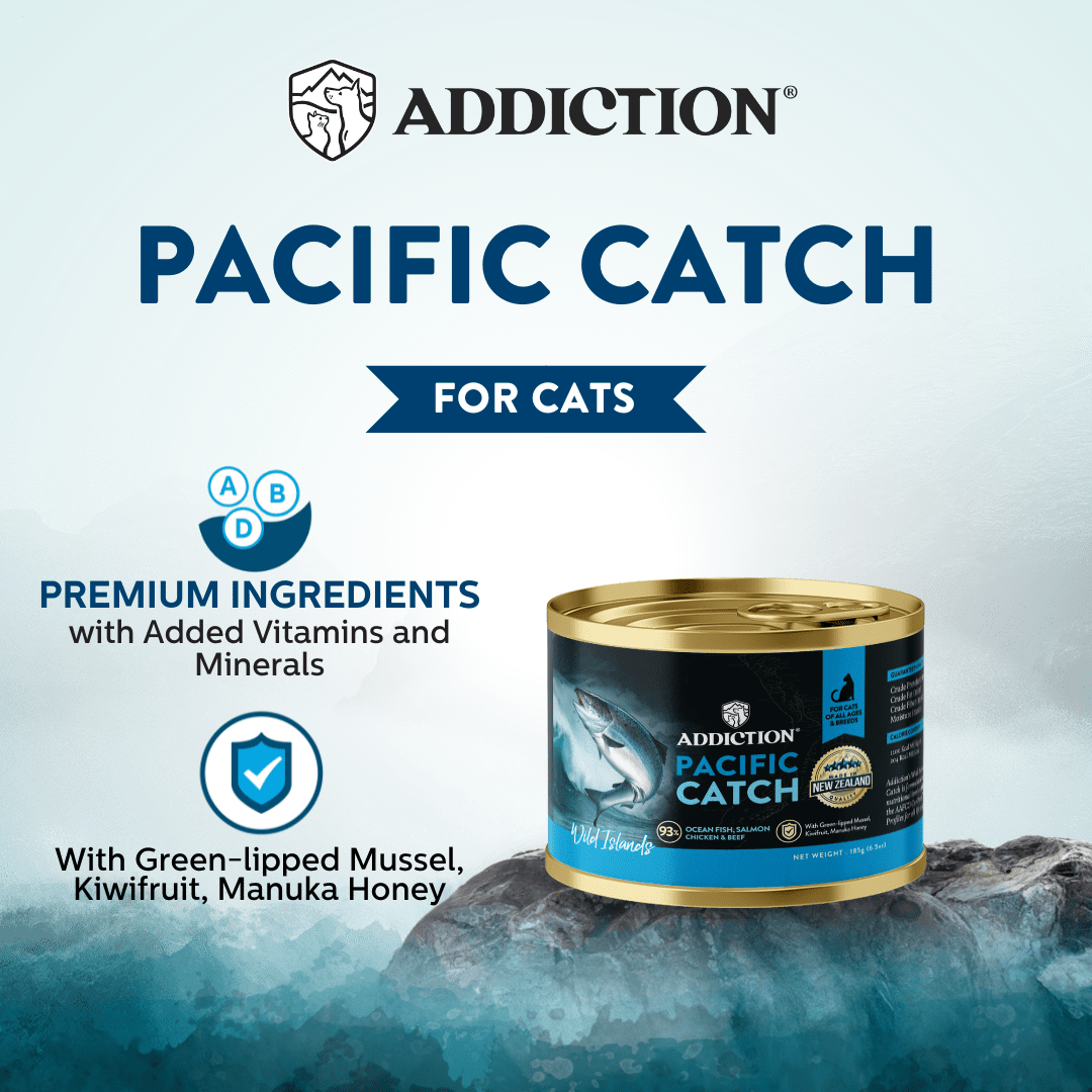 Addiction Wild Islands Pacific Catch Ocean Fish & Salmon High-Meat, Organ Meat Canned Cat Food 24 x 185g - Wet Cat Food - Addiction Pet Australia