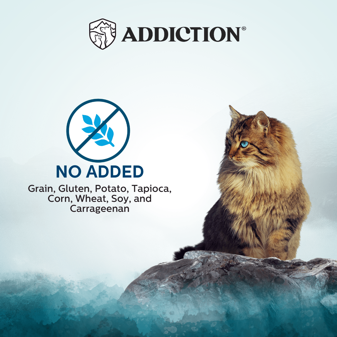 Addiction Wild Islands Pacific Catch Ocean Fish & Salmon High-Meat, Organ Meat Canned Cat Food 24 x 185g - Wet Cat Food - Addiction Pet Australia