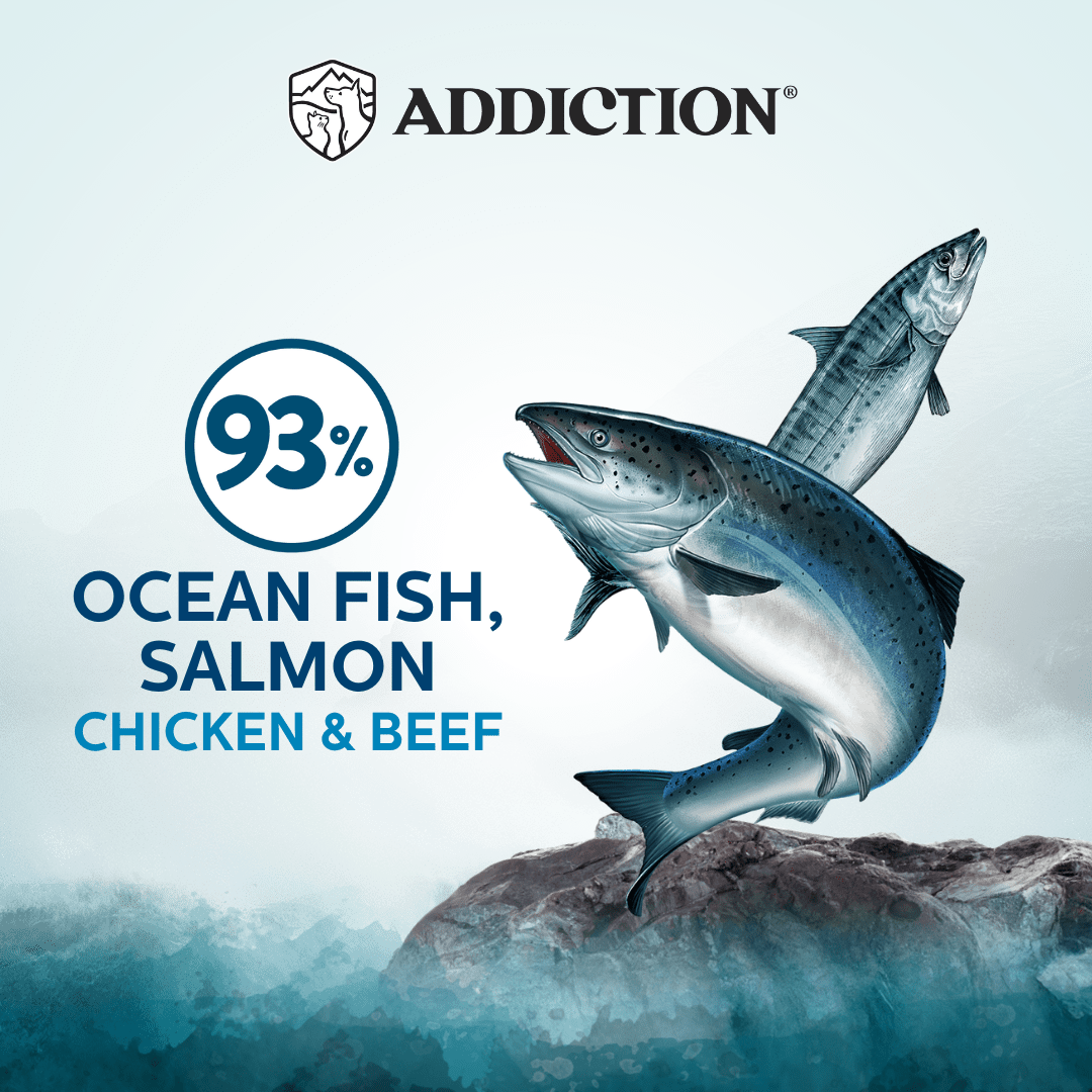 Addiction Wild Islands Pacific Catch Ocean Fish & Salmon High-Meat, Organ Meat Canned Cat Food 24 x 185g - Wet Cat Food - Addiction Pet Australia