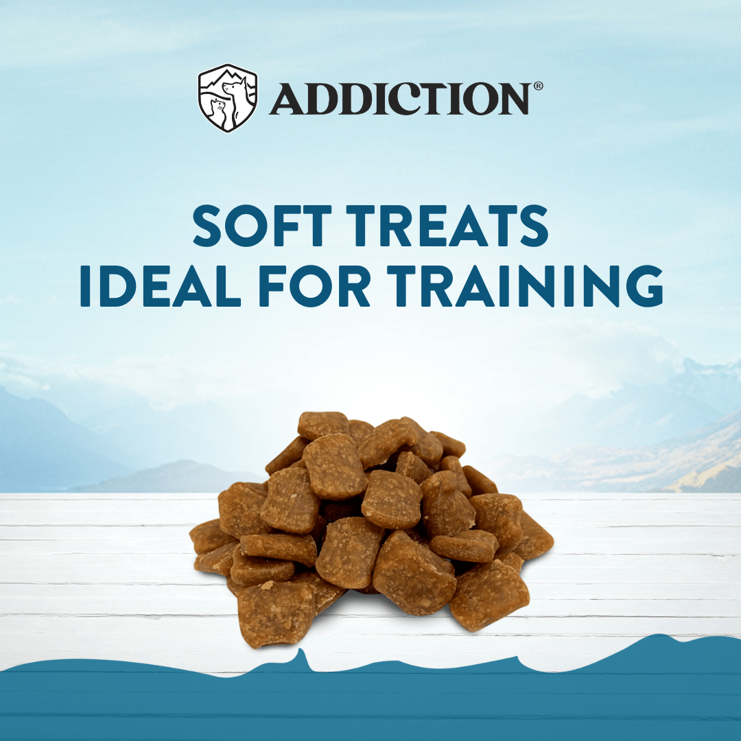 Beef Meaty Bites - Hypoallergenic Dog Treats 113g - Dog Treats - Addiction Pet Australia