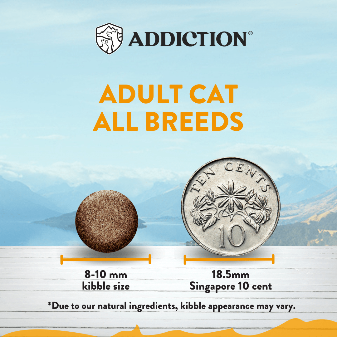 Chicken Supreme Recipe Adult Cat Dry Food 1.8kg, 4.5kg - Dry Cat Food - Addiction Pet Australia