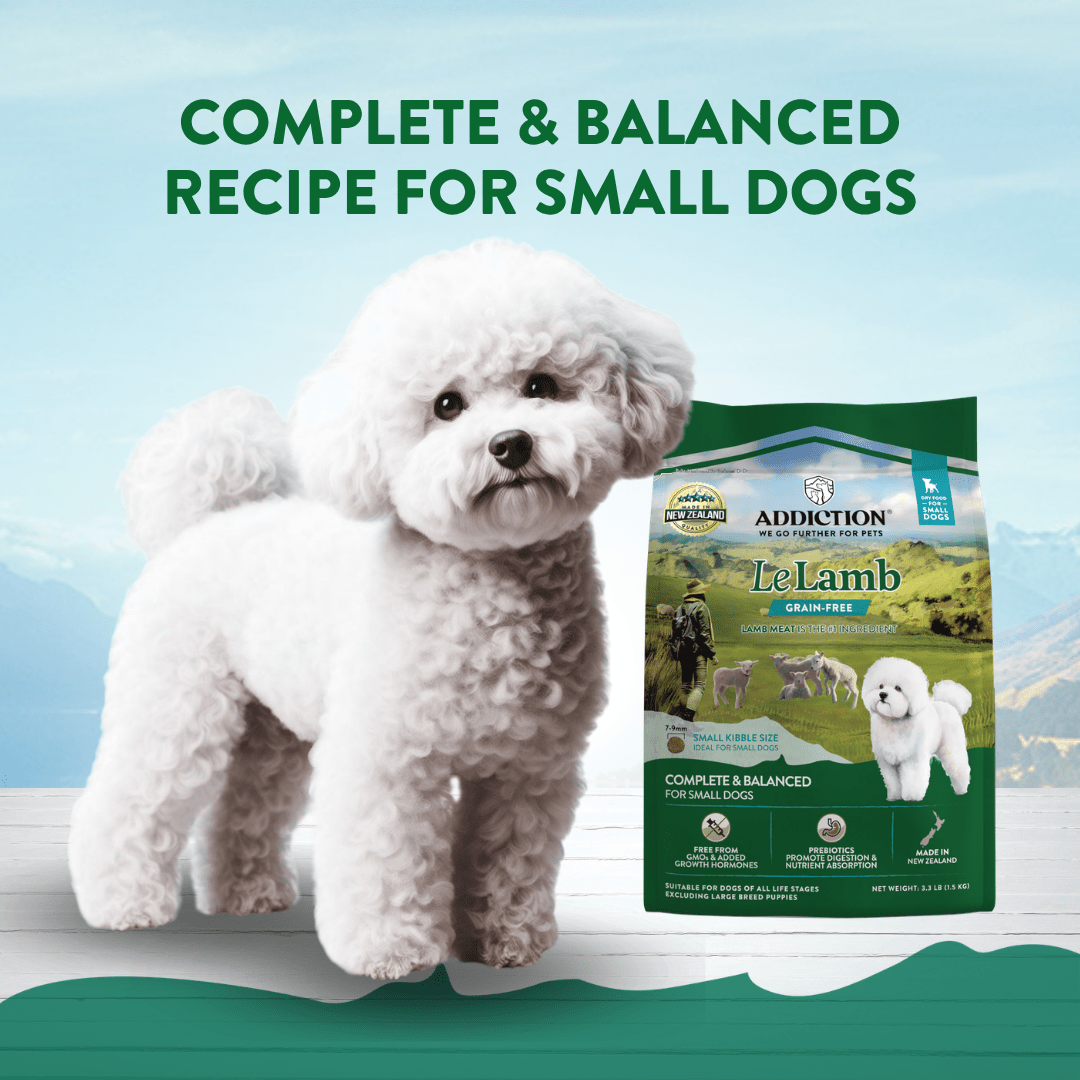 Le Lamb Small Breed Adult Dog 1.5kg - Wet Cat Food - Addiction Pet Australia