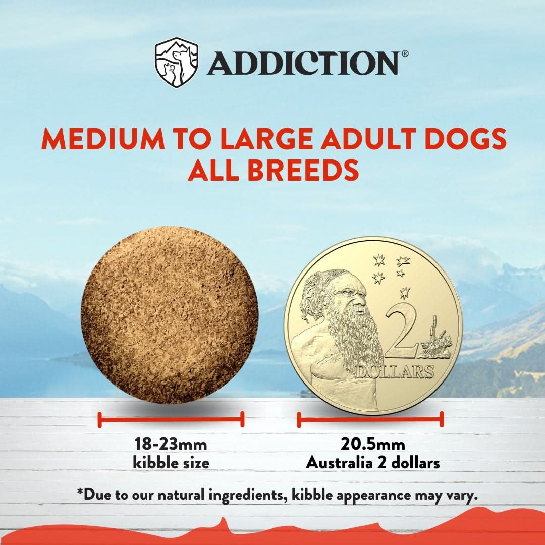 MEGA Lamb & Beef Dry Dog food for Medium to Large Dogs 20kg, 40kg - Dry Dog Food - Addiction Pet Australia