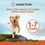 Mega Large Breed Chicken Adult 20kg - Dry Dog Food - Addiction Pet Australia