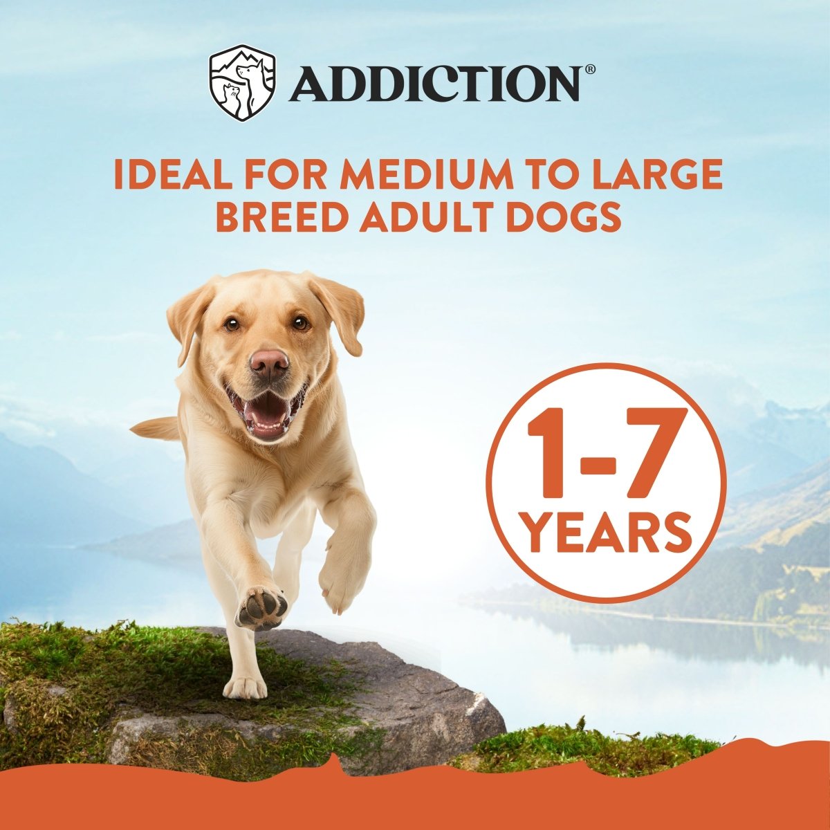 Mega Large Breed Chicken Adult 20kg - Dry Dog Food - Addiction Pet Australia