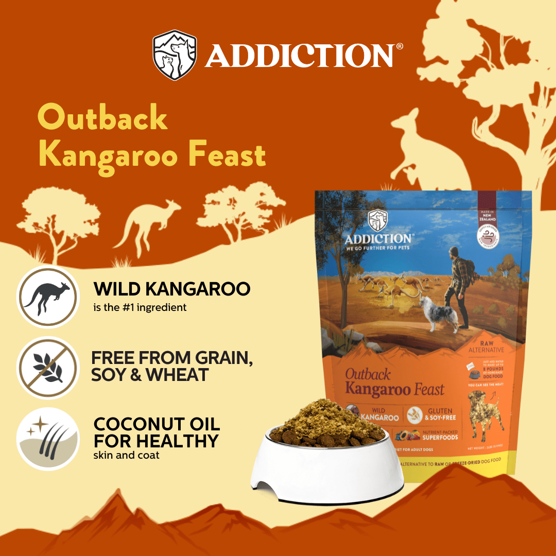 Outback Kangaroo Feast Air-Dried Dog Food 910g - Air-Dried Dog Food - Addiction Pet Australia