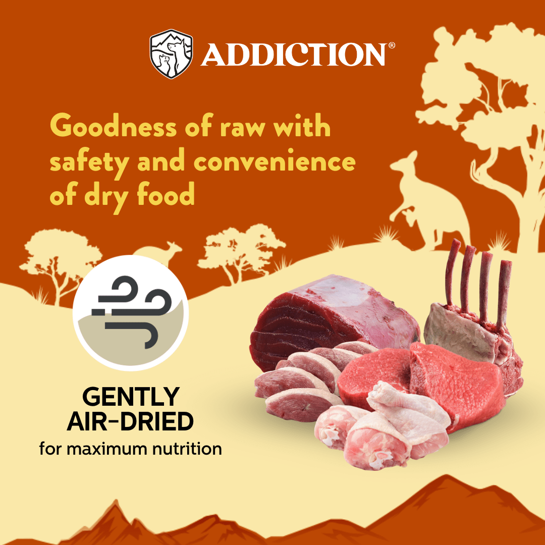 Outback Kangaroo Feast Air-Dried Dog Food 910g - Air-Dried Dog Food - Addiction Pet Australia