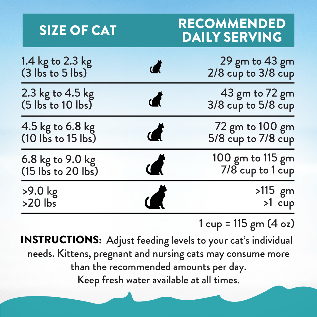Salmon Bleu Dry Cat Food 1.8kg, 4.5kg - Dry Cat Food - Addiction Pet Australia