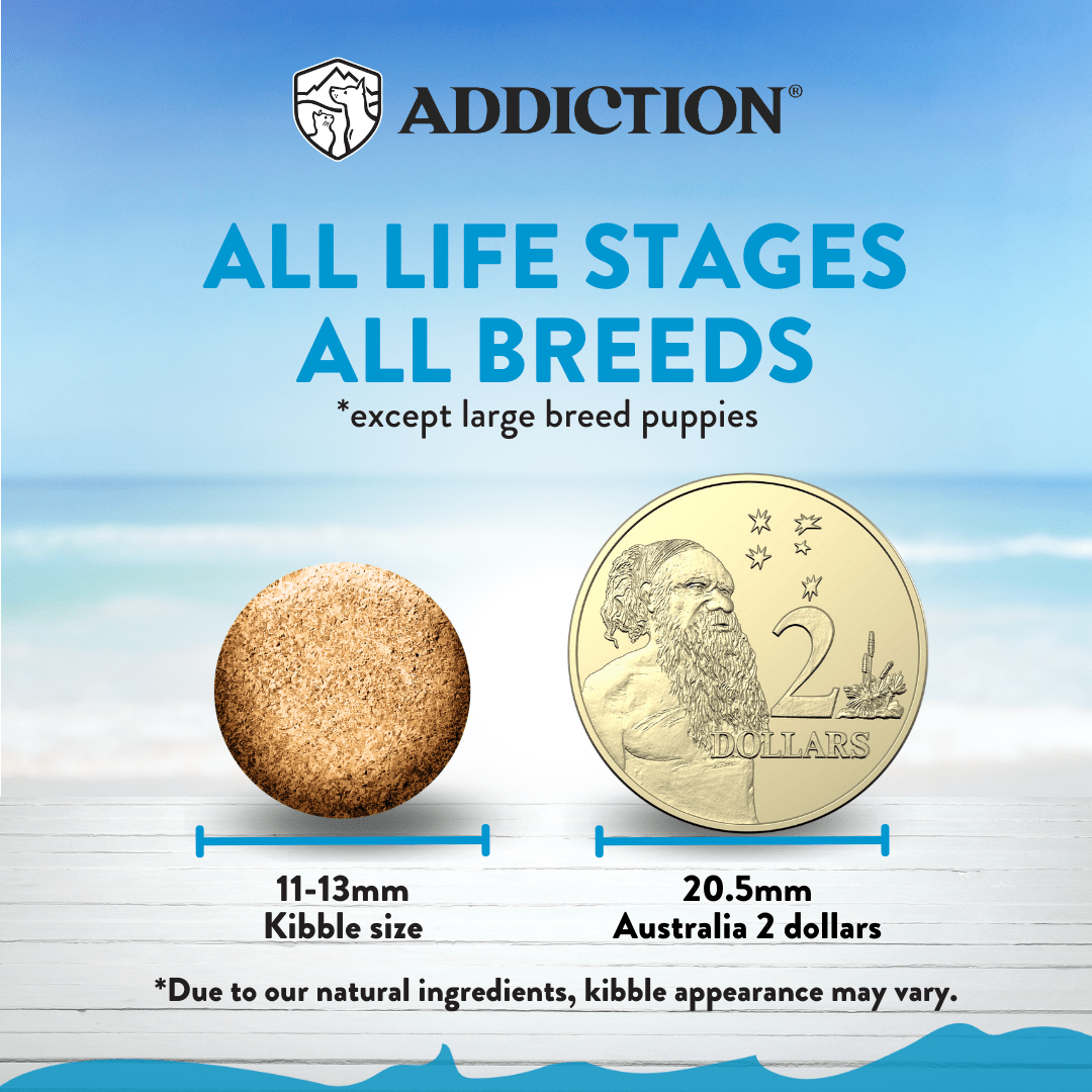 Salmon Bleu Dry Dog Food 1.8kg, 9kg, 15kg - Dry Dog Food - Addiction Pet Australia