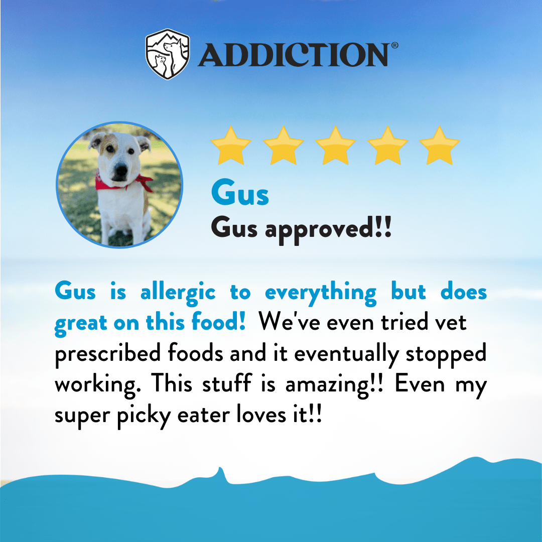Salmon Bleu Dry Dog Food 1.8kg, 9kg, 15kg - Dry Dog Food - Addiction Pet Australia