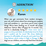 Salmon Bleu Puppy Dry Dog Food 1.8kg, 9kg - Dry Dog Food - Addiction Pet Australia