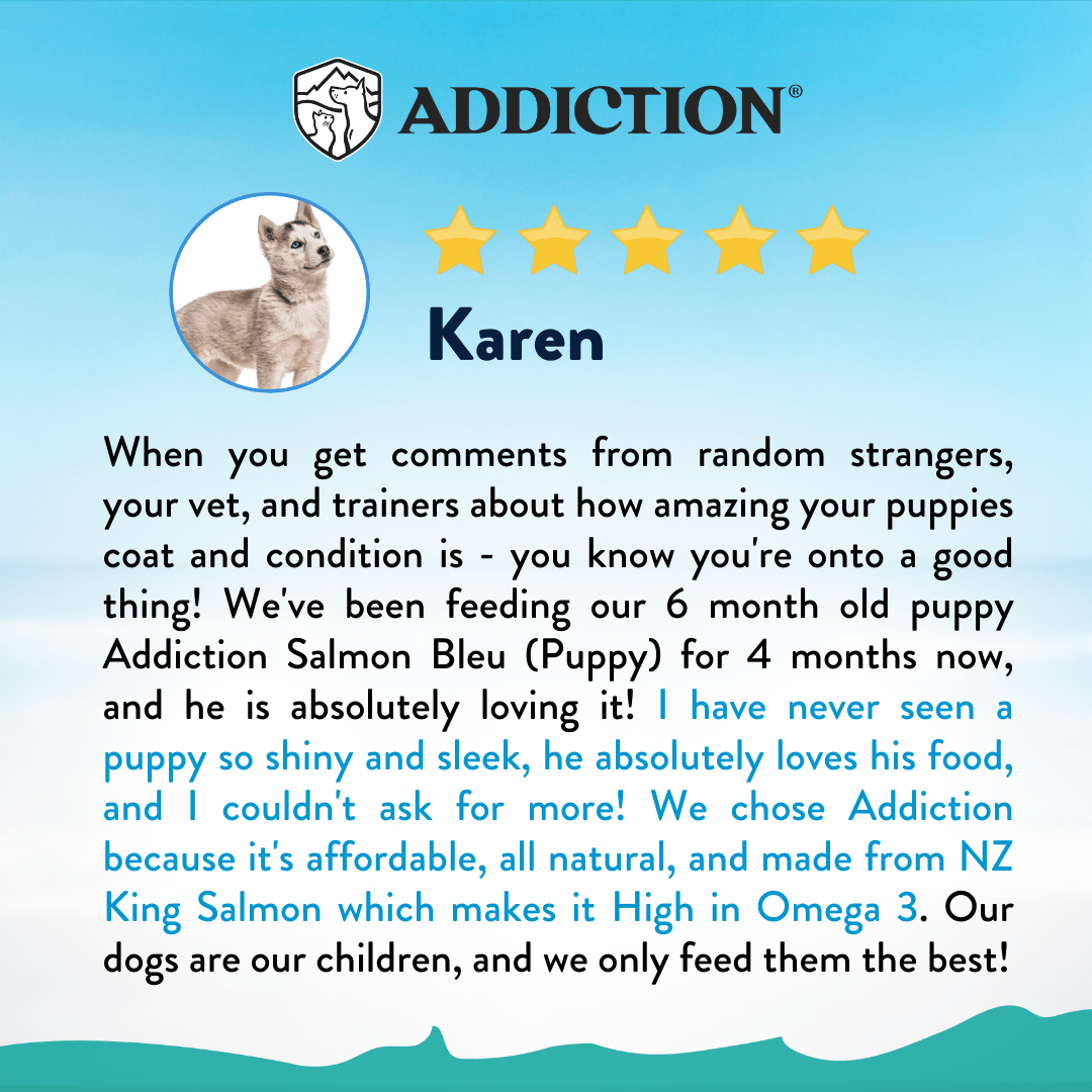 Salmon Bleu Puppy Dry Dog Food 1.8kg, 9kg - Dry Dog Food - Addiction Pet Australia