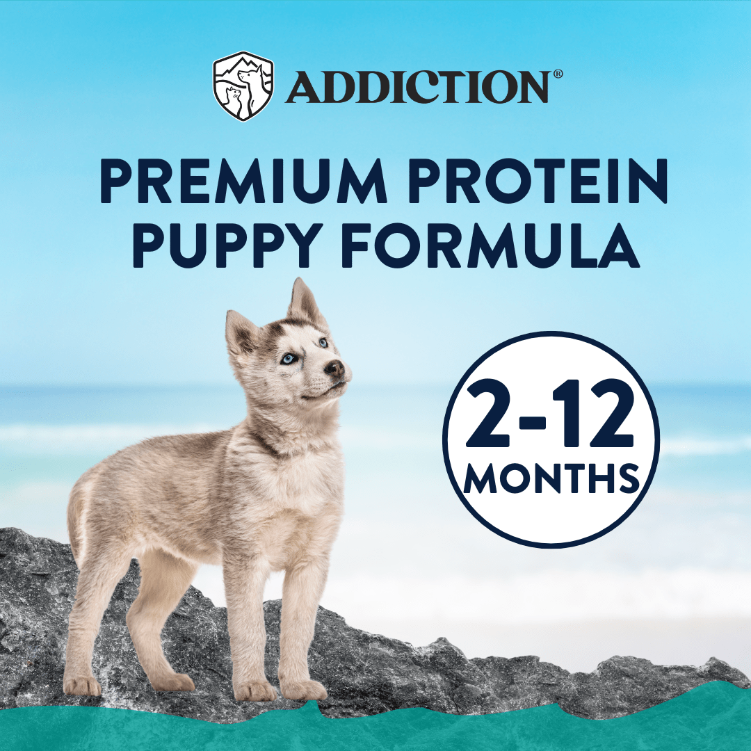 Salmon Bleu Puppy Dry Dog Food 1.8kg, 9kg - Dry Dog Food - Addiction Pet Australia