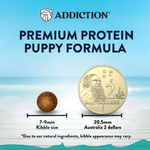 Salmon Bleu Puppy Dry Dog Food 1.8kg, 9kg - Dry Dog Food - Addiction Pet Australia