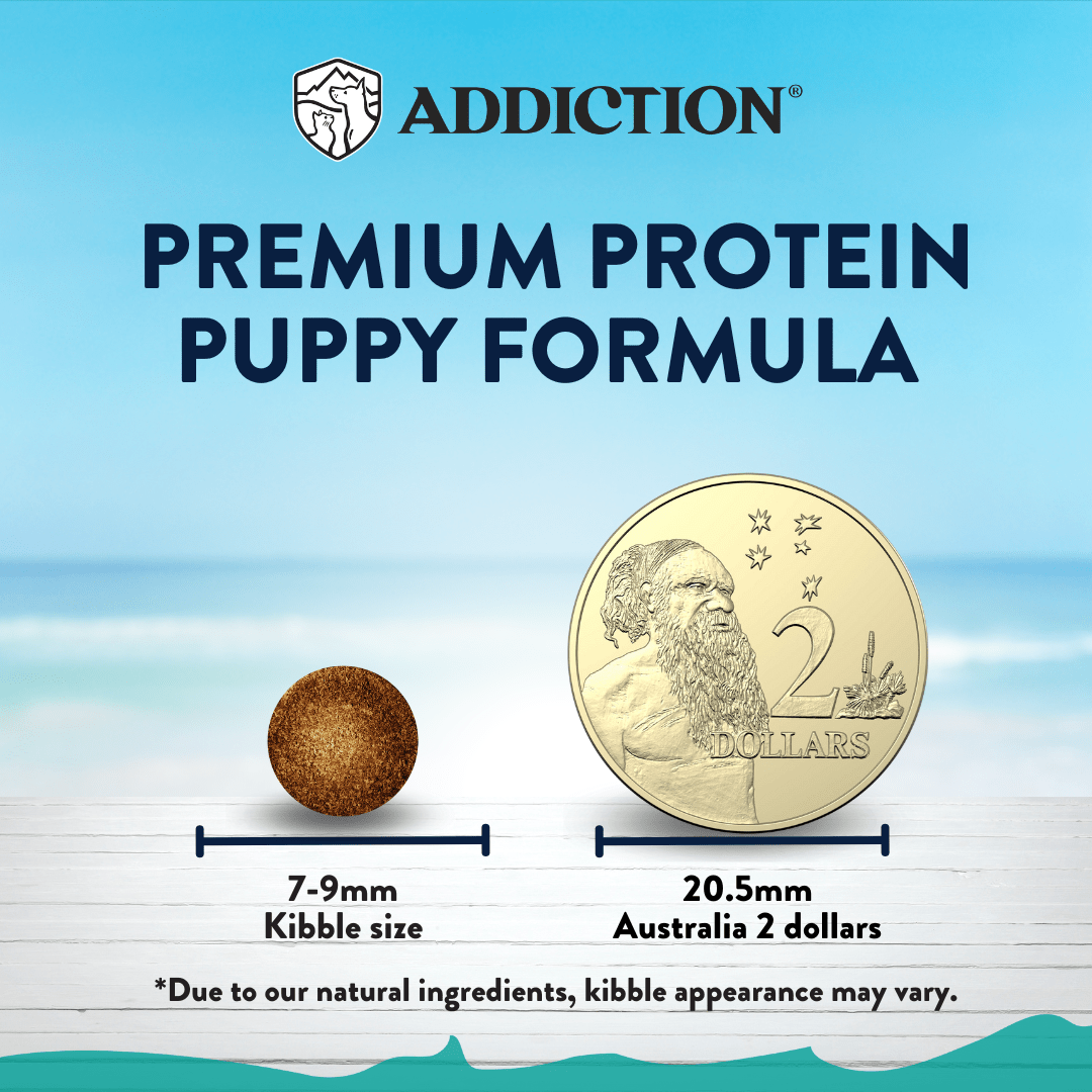 Salmon Bleu Puppy Dry Dog Food 1.8kg, 9kg - Dry Dog Food - Addiction Pet Australia