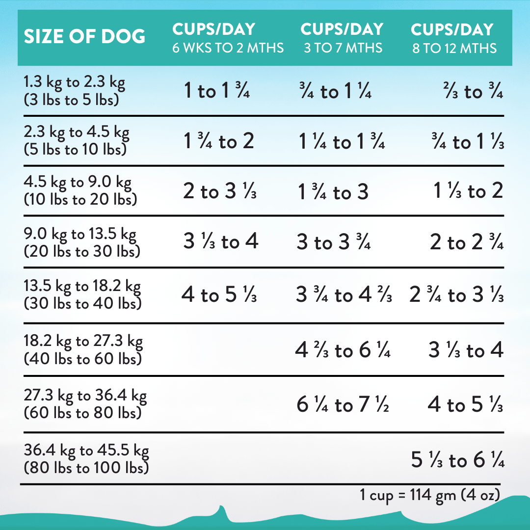Salmon Bleu Puppy Dry Dog Food 1.8kg, 9kg - Dry Dog Food - Addiction Pet Australia
