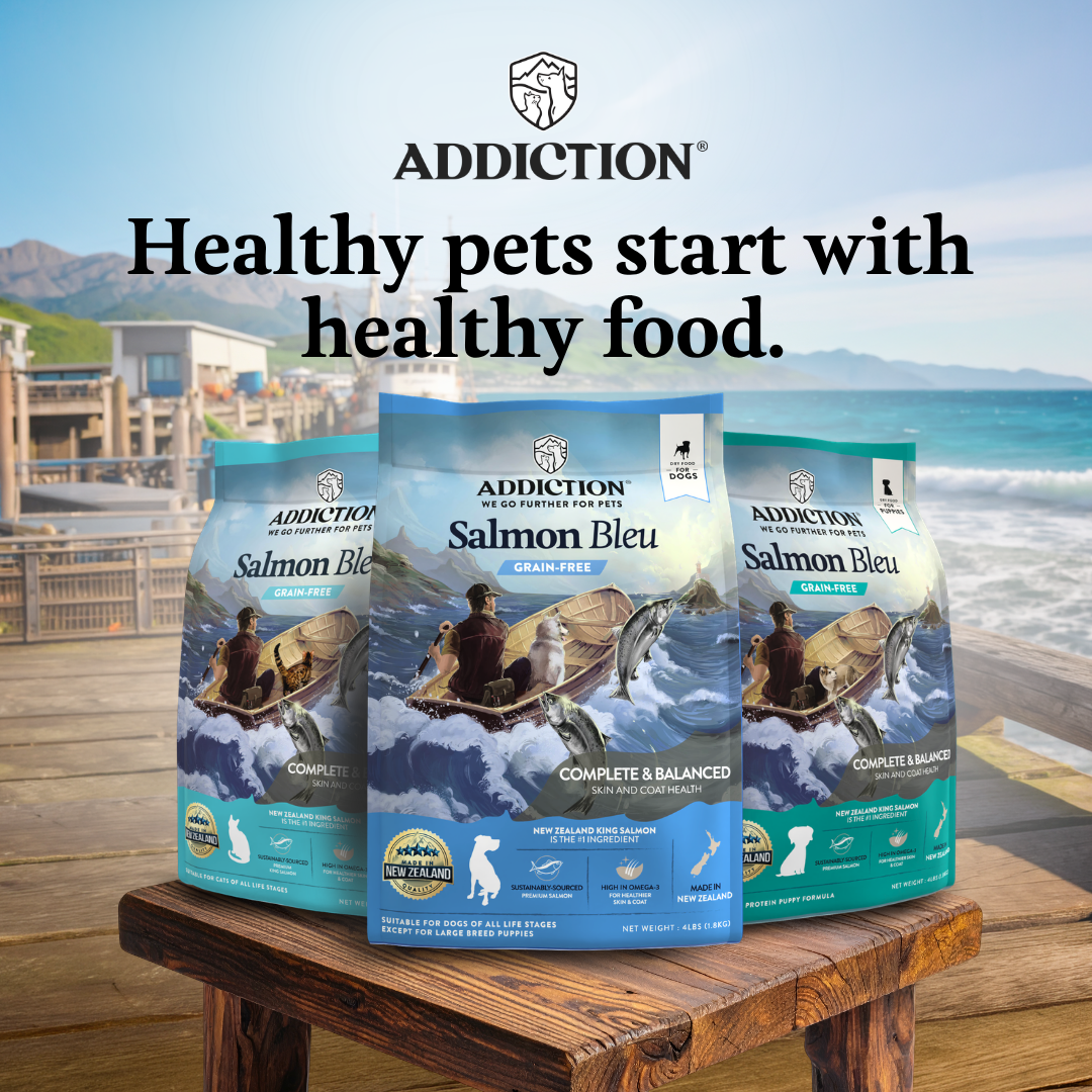 Healthy Skin and a Shiny Coat Start with Salmon Bleu