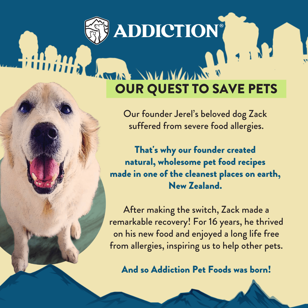 Steakhouse Beef & Zucchini Air-Dried Dog Food 910g - Air-Dried Dog Food - Addiction Pet Australia