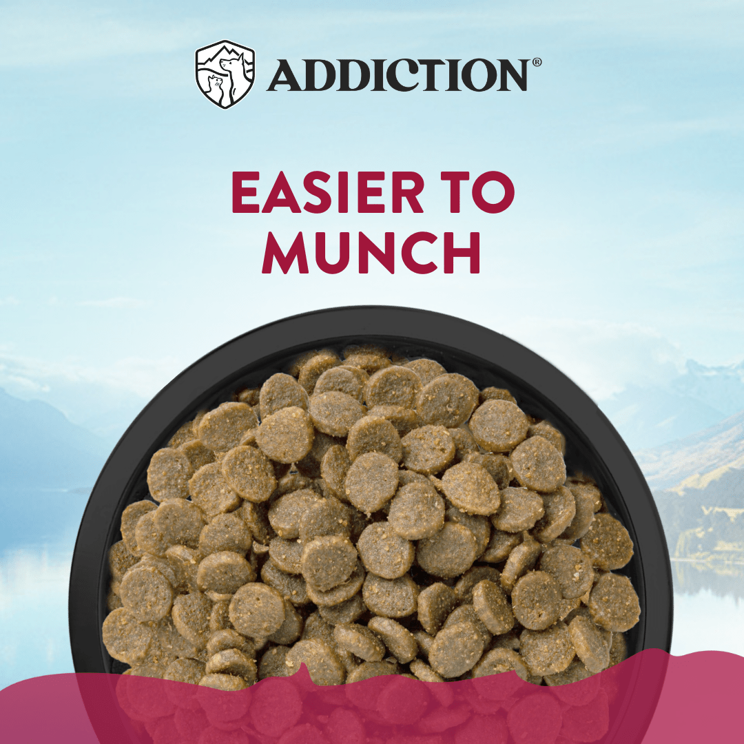 Viva La Venison Small Breed Adult Dog Food 1.5kg - Dry Dog Food - Addiction Pet Australia