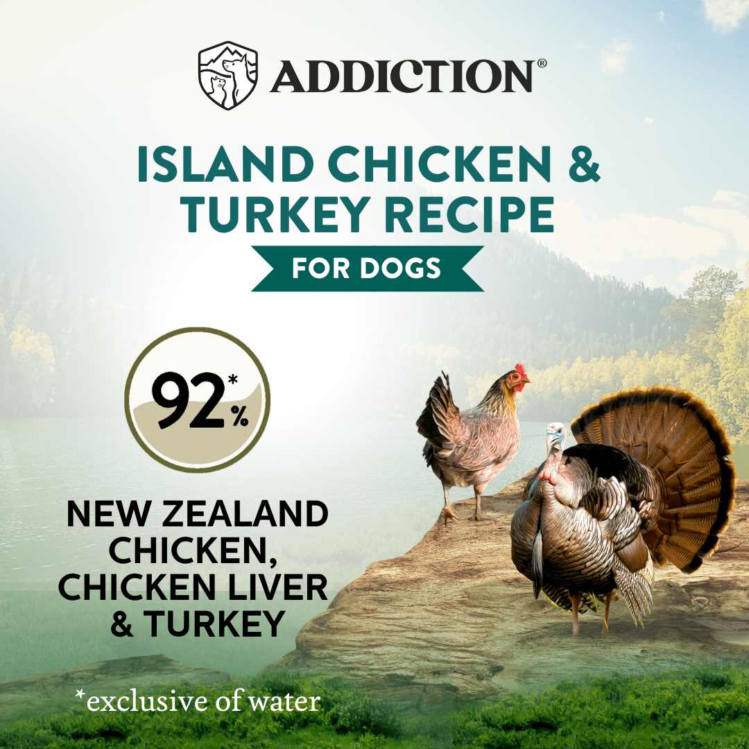 Wild Islands Chicken & Turkey Canned Dog Food 185g - Wet Dog Food - Addiction Pet Australia