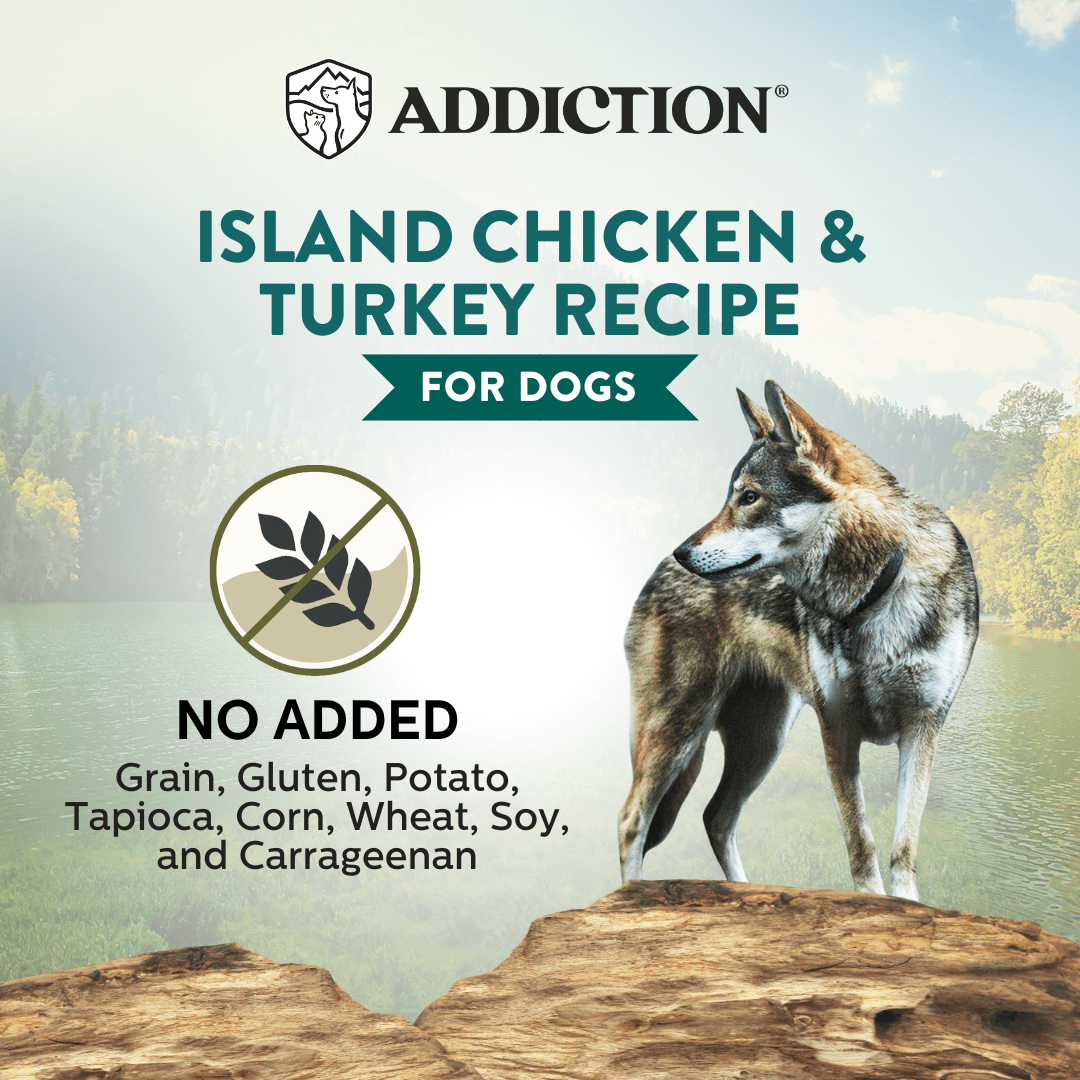 Wild Islands Chicken & Turkey Canned Dog Food 185g - Wet Dog Food - Addiction Pet Australia