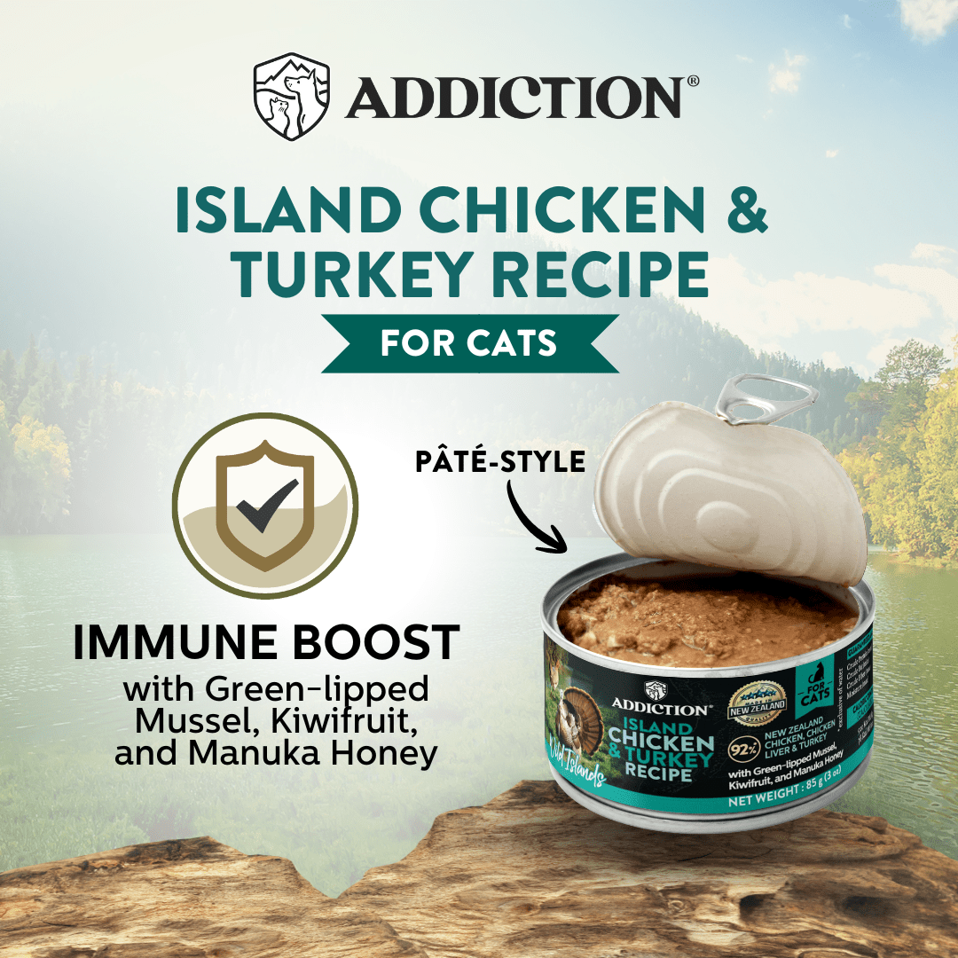 Wild Islands Chicken & Turkey Cat Canned 85g - Wet Cat Food - Addiction Pet Australia