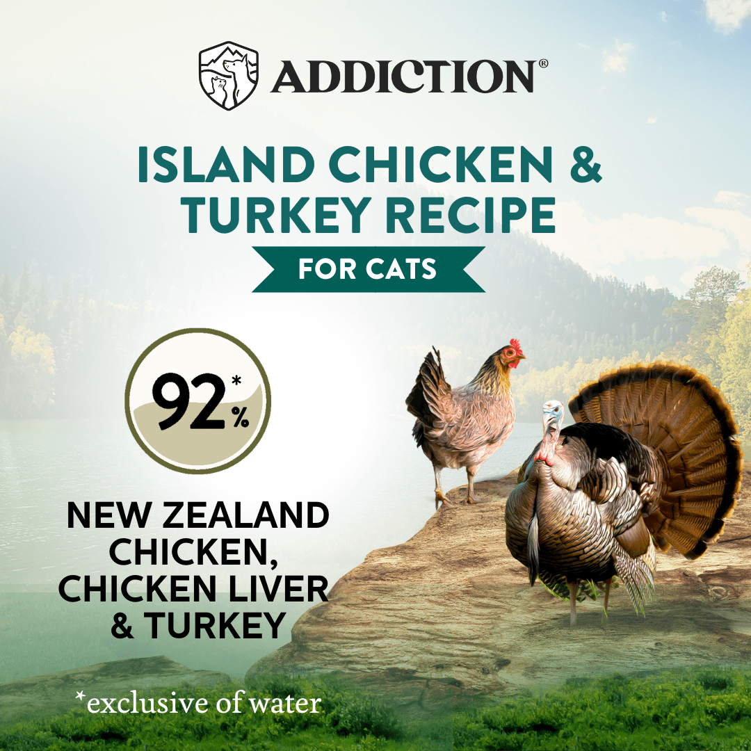 Wild Islands Chicken & Turkey Cat Canned 85g - Wet Cat Food - Addiction Pet Australia