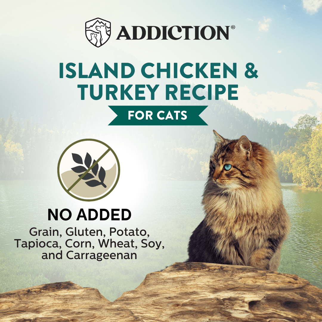 Wild Islands Chicken & Turkey Cat Canned 85g - Wet Cat Food - Addiction Pet Australia