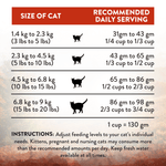 Wild Islands Forest Meat Premium Venison Recipe Dry Cat Food 1.8kg - Dry Cat Food - Addiction Pet Australia