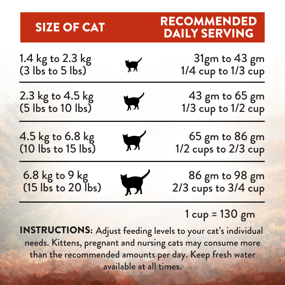 Wild Islands Forest Meat Premium Venison Recipe Dry Cat Food 1.8kg - Dry Cat Food - Addiction Pet Australia