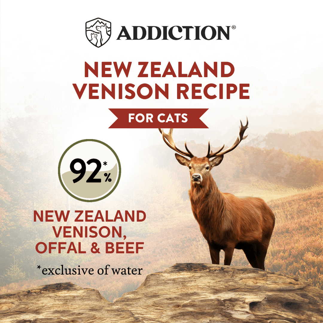 Wild Islands Forest Meat Venison & Beef Canned Cat Food 85g - Wet Cat Food - Addiction Pet Australia