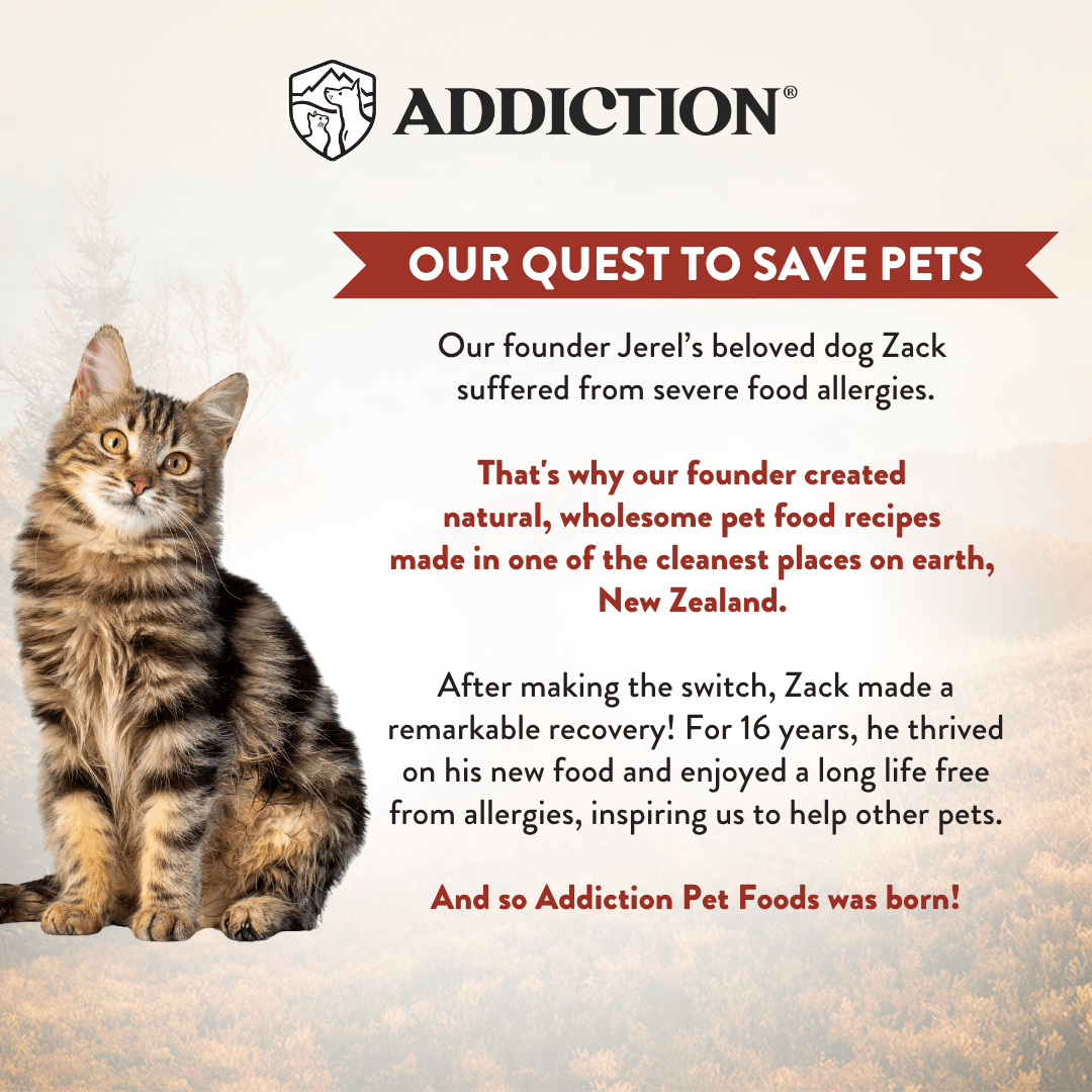 Wild Islands Forest Meat Venison & Beef Canned Cat Food 85g - Wet Cat Food - Addiction Pet Australia