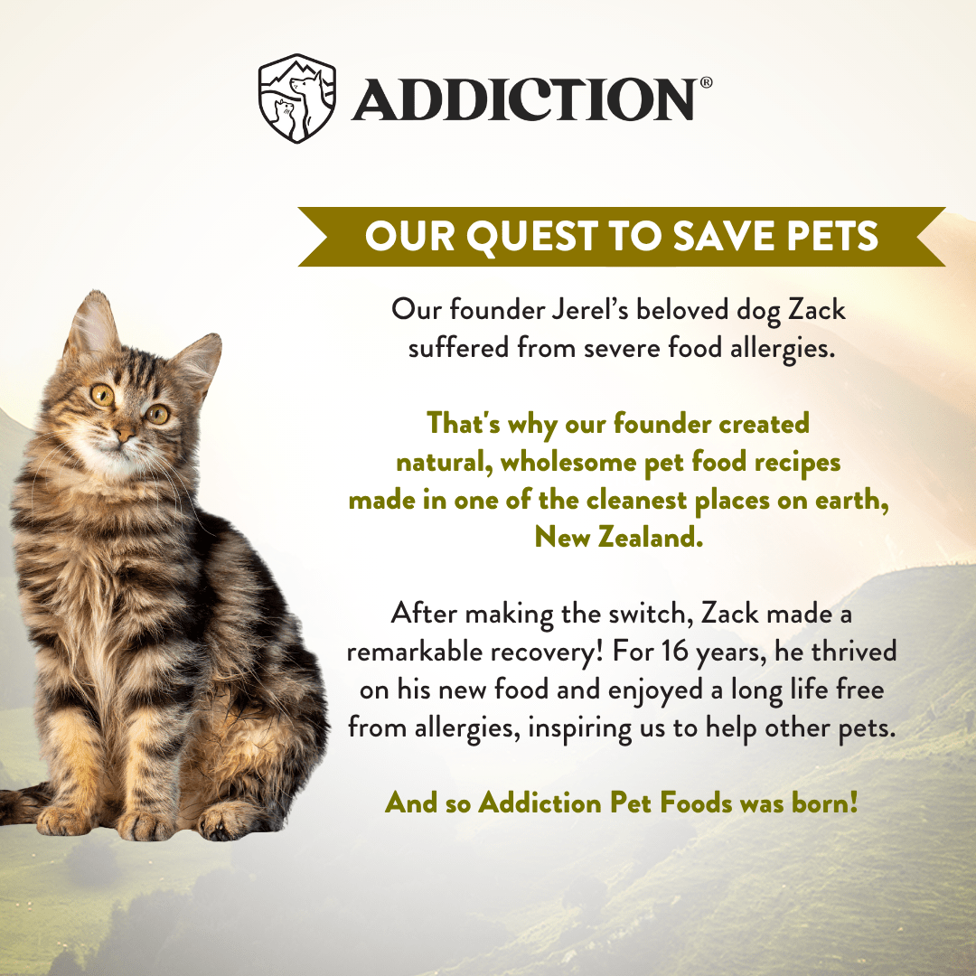 Wild Islands Highland Beef & Lamb Canned Cat Food 85g - Wet Cat Food - Addiction Pet Australia