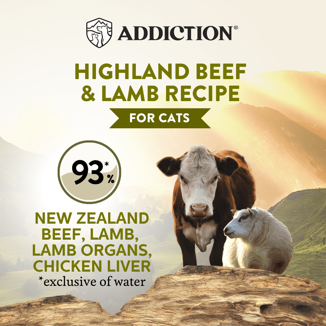 Wild Islands Highland Beef & Lamb Canned Cat Food 85g - Wet Cat Food - Addiction Pet Australia