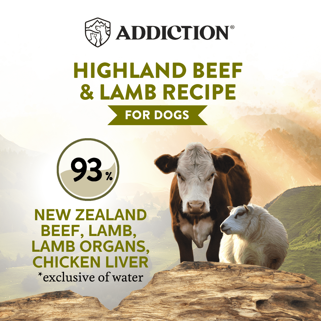 Wild Islands Highland Beef & Lamb Canned Dog Food 185g - Wet Dog Food - Addiction Pet Australia