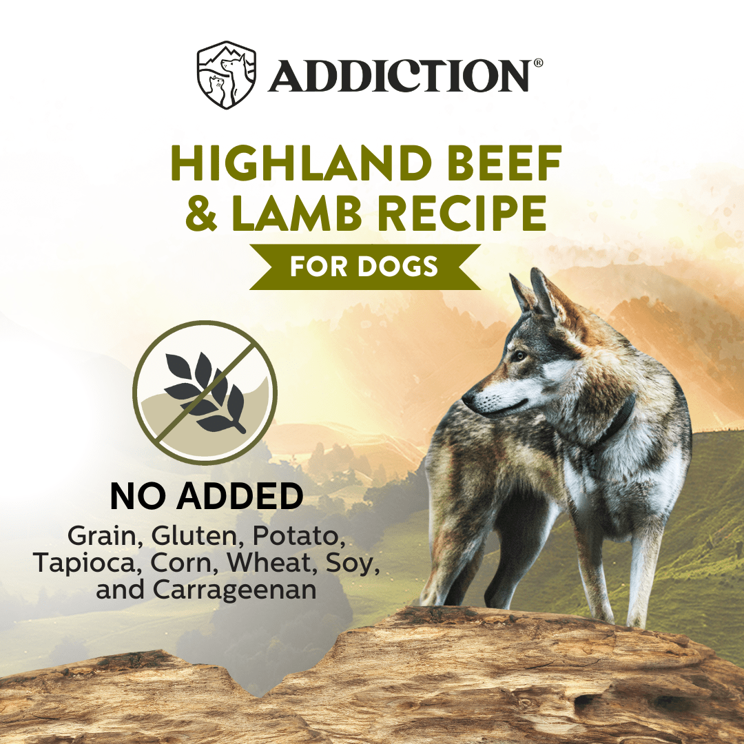 Wild Islands Highland Beef & Lamb Canned Dog Food 185g - Wet Dog Food - Addiction Pet Australia