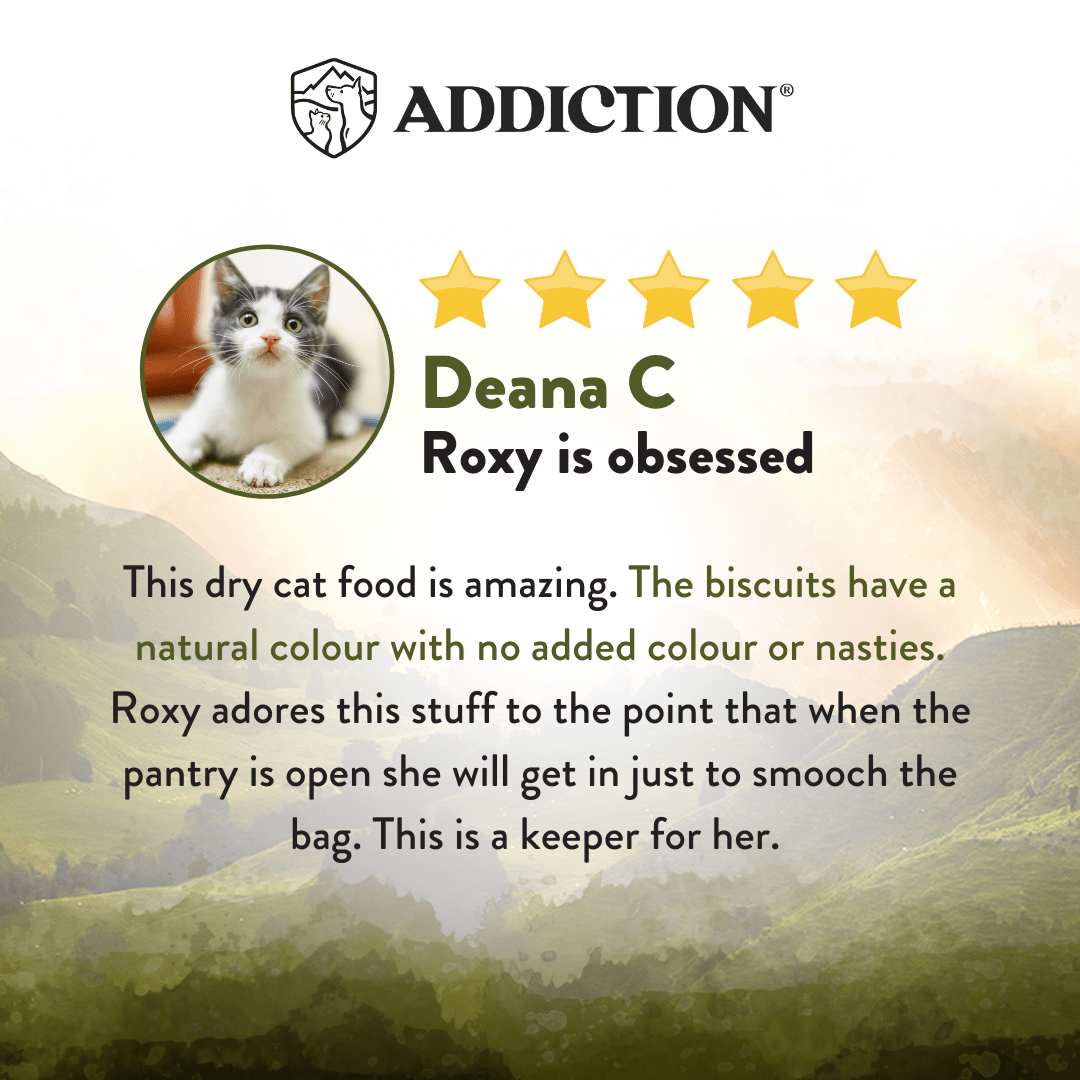 Wild Islands Highland Meats Grass-Fed Beef & Lamb Recipe Dry Cat Food 1.8kg - Dry Cat Food - Addiction Pet Australia